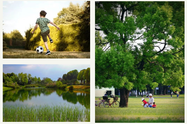 人生就是博·(中国) - 官方网站